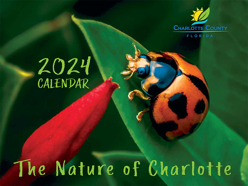 Charlotte County Announces Calendar Photo Contest Winners News Image